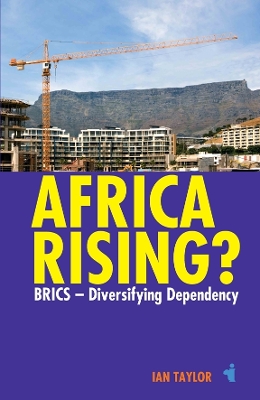 Book cover for Africa Rising?