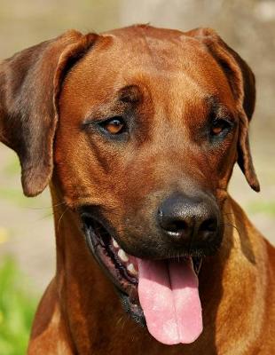 Book cover for Rhodesian Ridgeback Dog Training Journal