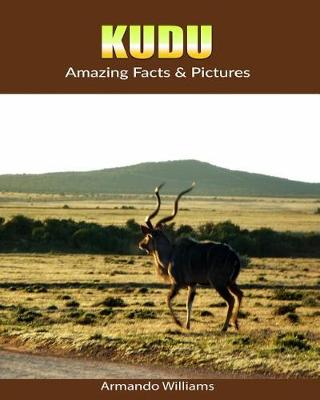 Book cover for kudu