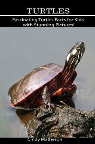 Cover of Turtles