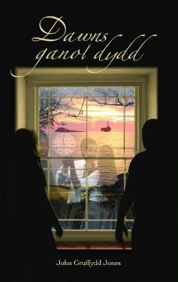 Book cover for Dawns Ganol Dydd