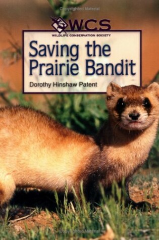 Cover of Saving the Prairie Bandit