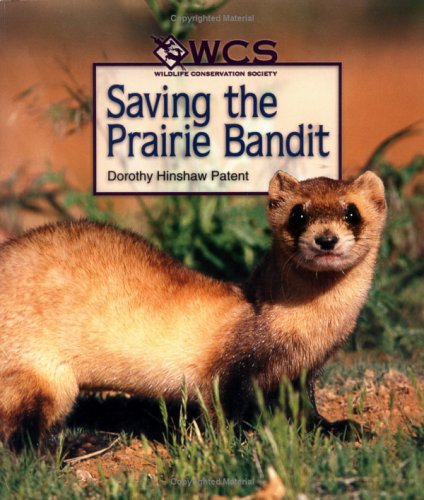 Cover of Saving the Prairie Bandit