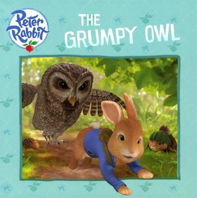 Book cover for The Grumpy Owl