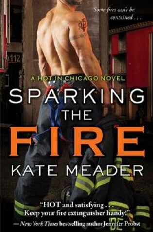 Cover of Sparking the Fire