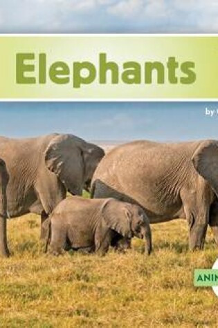 Cover of Elephants