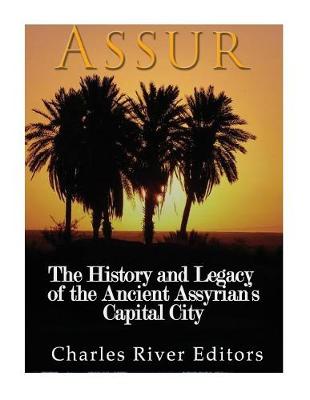 Book cover for Assur