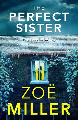 Book cover for The Perfect Sister