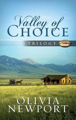 Book cover for Valley of Choice Trilogy