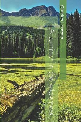 Book cover for A summer in the wilderness