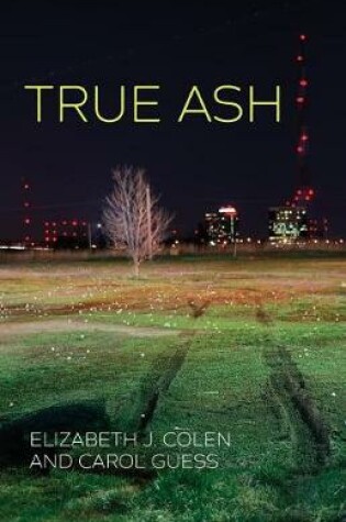 Cover of True Ash