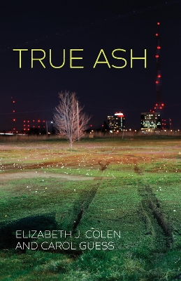 Book cover for True Ash