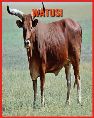 Book cover for Watusi