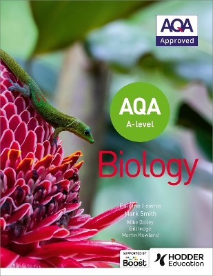 Book cover for AQA A Level Biology (Year 1 and Year 2)