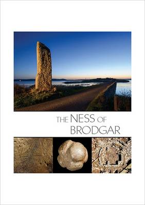 Book cover for The Ness of Brodgar