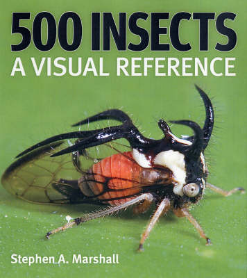 Book cover for 500 Insects