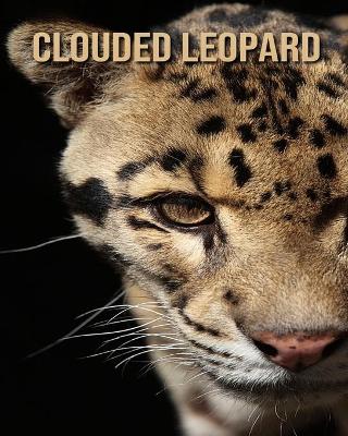 Book cover for Clouded Leopard