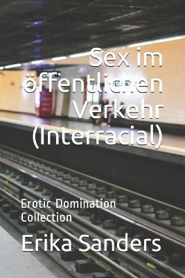 Book cover for Sex im oeffentlichen Verkehr (Interracial)