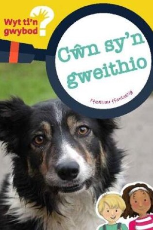 Cover of Cyfres Wyt Ti'n Gwybod?: Cŵn Sy'n Gweithio
