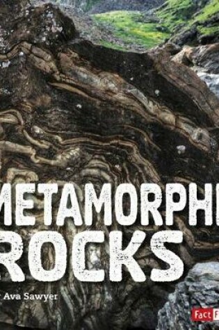 Cover of Metamorphic Rocks