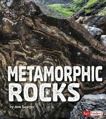 Book cover for Metamorphic Rocks