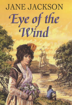 Book cover for Eye of the Wind