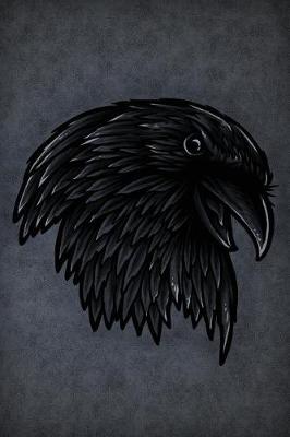 Book cover for Insight Raven Spirit Notebook