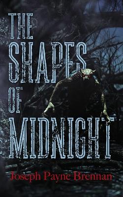 Book cover for The Shapes of Midnight