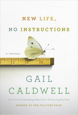 Book cover for New Life, No Instructions