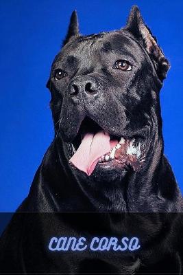 Book cover for Cane Corso