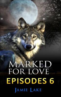 Book cover for Marked for Love 6