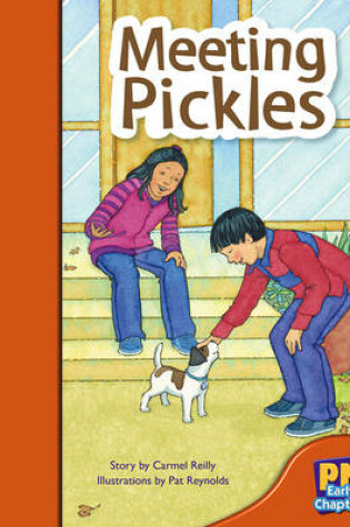 Cover of Meeting Pickles
