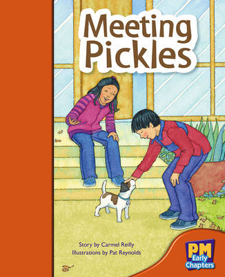 Book cover for Meeting Pickles