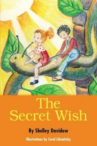 Cover of The Secret Wish