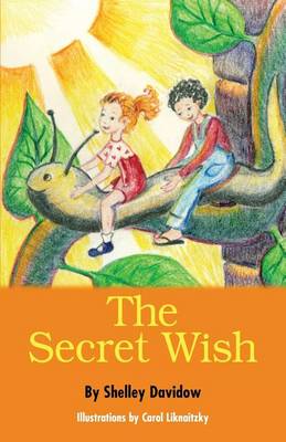 Book cover for The Secret Wish