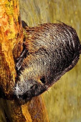 Book cover for Nutria on a Log Journal