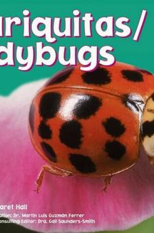 Cover of Mariquitas/Ladybugs