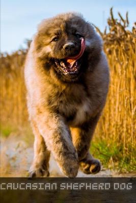 Book cover for Caucasian Shepherd Dog