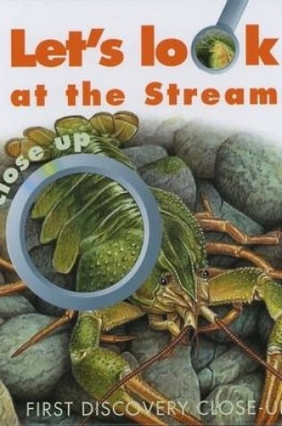 Cover of Let's Look at the Stream