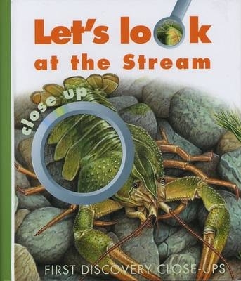 Book cover for Let's Look at the Stream