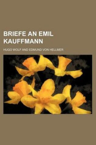 Cover of Briefe an Emil Kauffmann