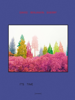 Book cover for David Benjamin Sherry: It's Time