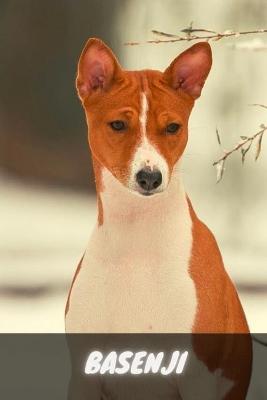 Book cover for Basenji