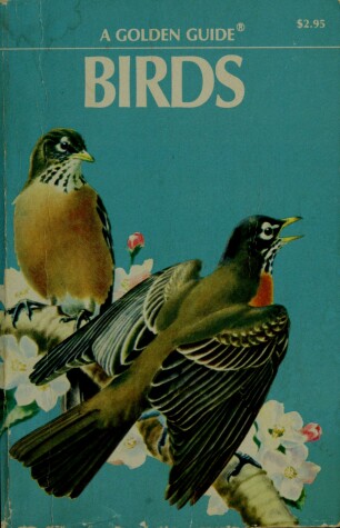 Book cover for Guide to Birds