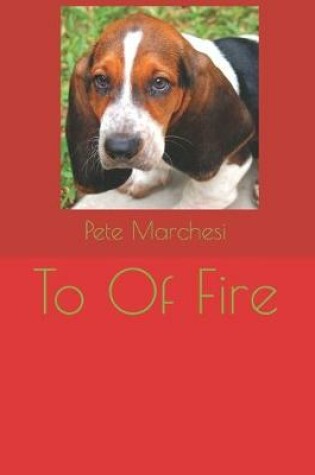 Cover of To Of Fire