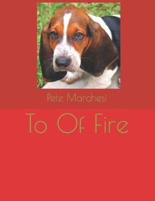 Book cover for To Of Fire