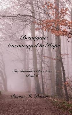Book cover for Branigan