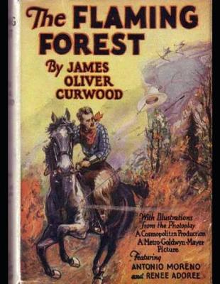 Book cover for The Flaming Forest (Annotated)