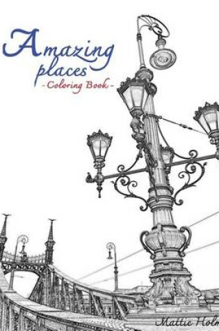 Cover of Amazing Places