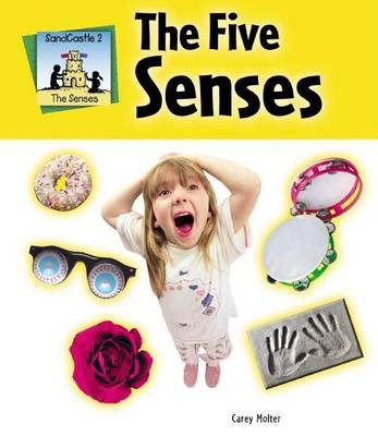 Book cover for Five Senses eBook